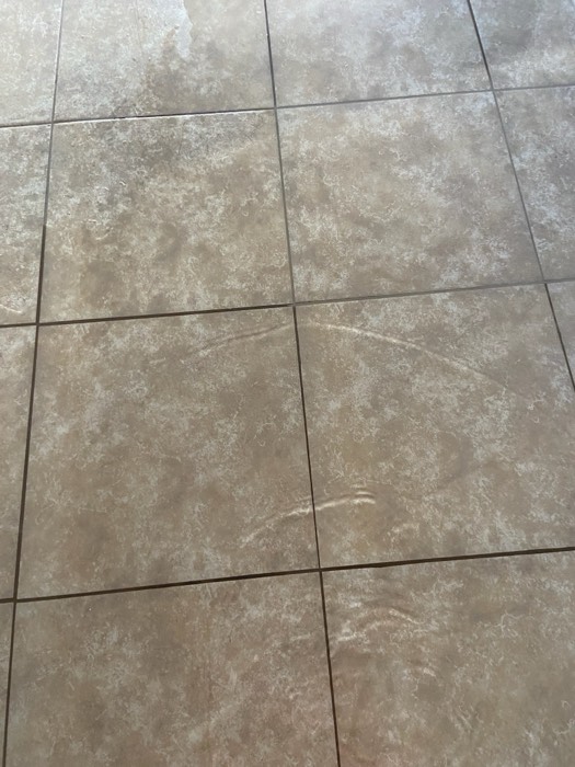 Water and mold damage at the 153 Tate Lane home after the Costco / RXO refrigerator installation — photo 2 of 78