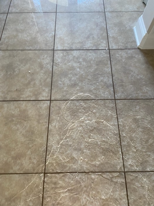 Water and mold damage at the 153 Tate Lane home after the Costco / RXO refrigerator installation — photo 3 of 78