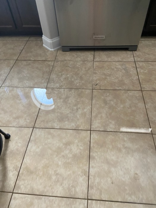 Water and mold damage at the 153 Tate Lane home after the Costco / RXO refrigerator installation — photo 5 of 78