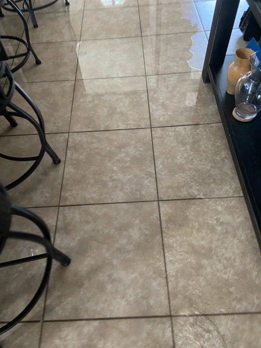 Water and mold damage at the 153 Tate Lane home after the Costco / RXO refrigerator installation — photo 6 of 78