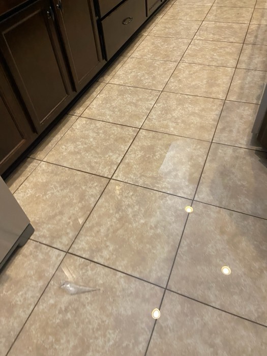 Water and mold damage at the 153 Tate Lane home after the Costco / RXO refrigerator installation — photo 7 of 78