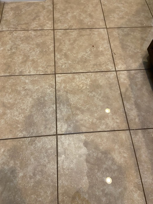 Water and mold damage at the 153 Tate Lane home after the Costco / RXO refrigerator installation — photo 8 of 78