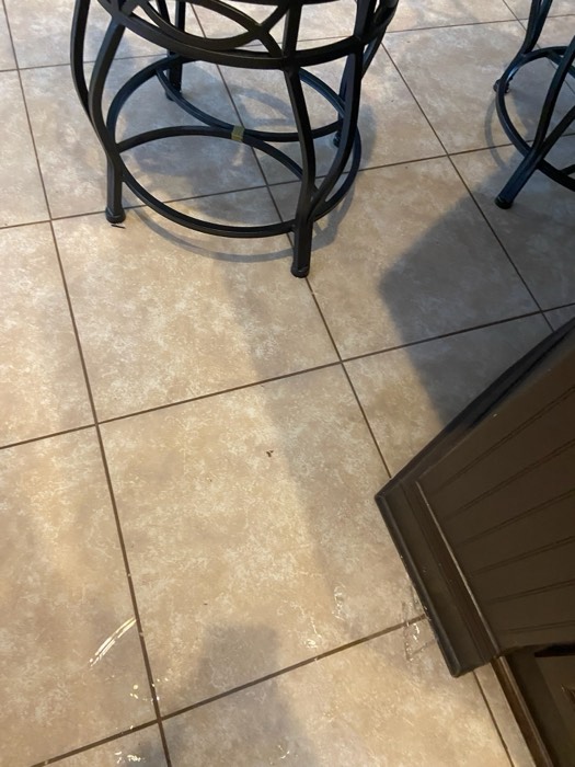 Water and mold damage at the 153 Tate Lane home after the Costco / RXO refrigerator installation — photo 9 of 78