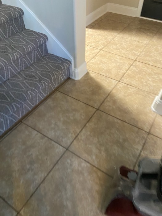 Water and mold damage at the 153 Tate Lane home after the Costco / RXO refrigerator installation — photo 12 of 78