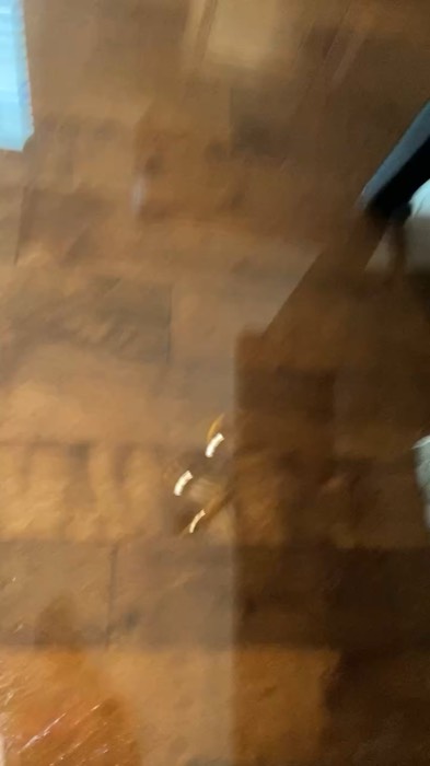 Video documenting the Costco / RXO water damage at 153 Tate Lane — clip 4 of 6