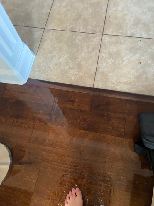 Water and mold damage at the 153 Tate Lane home after the Costco / RXO refrigerator installation — photo 15 of 78