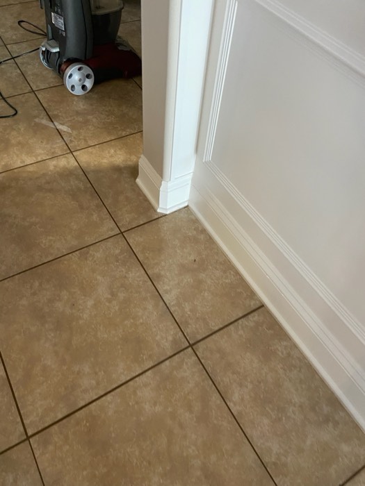 Water and mold damage at the 153 Tate Lane home after the Costco / RXO refrigerator installation — photo 16 of 78