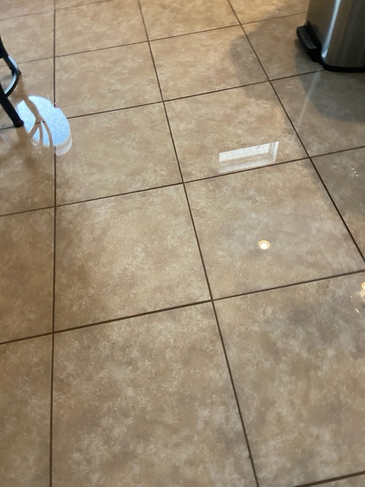 Water and mold damage at the 153 Tate Lane home after the Costco / RXO refrigerator installation — photo 18 of 78