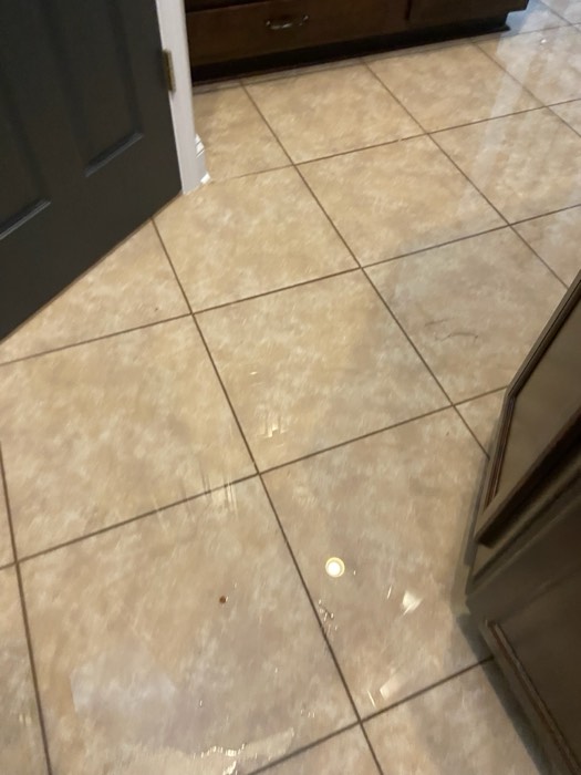Water and mold damage at the 153 Tate Lane home after the Costco / RXO refrigerator installation — photo 20 of 78