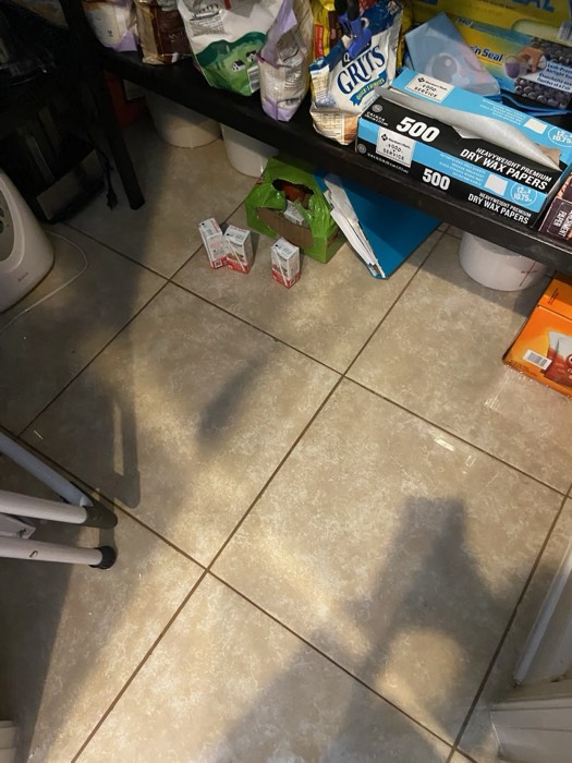 Water and mold damage at the 153 Tate Lane home after the Costco / RXO refrigerator installation — photo 21 of 78