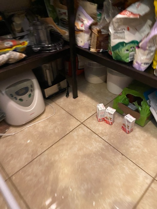Water and mold damage at the 153 Tate Lane home after the Costco / RXO refrigerator installation — photo 23 of 78