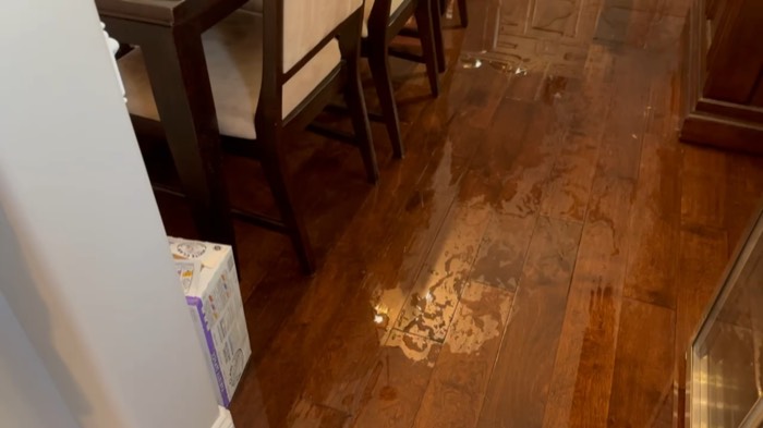 Video documenting the Costco / RXO water damage at 153 Tate Lane — clip 5 of 6